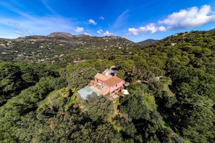 RESTAURANTE CON ENCANTO, MUY FAMOSO Y EN PLENA PRODUCCIÓN EN UNA PARCELA DE 11.200m2 photo 0