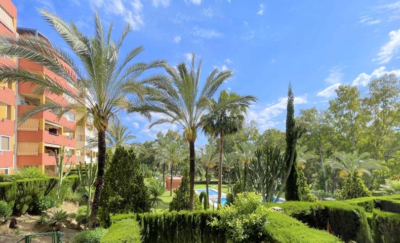 AMPLIO APARTAMENTO CON TERRAZA CUBIERTA Y VISTAS AL JARDÍN Y LA PISCINA EN URBANIZACIÓN SEGURA Y MUY BIEN CONECTADA photo 0