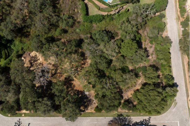 TERRENO CON SUELO EDIFICABLE DE 2.100M2 photo 0