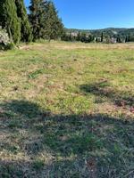 TERRENO DE 2226m2 CON SUELO EDIFICABLE DE 560m2. CON EJEMPLO DE PROYECTO. photo 0