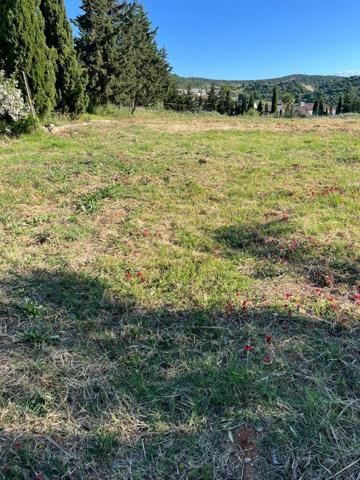 TERRENO DE 2226m2 CON SUELO EDIFICABLE DE 560m2. photo 0