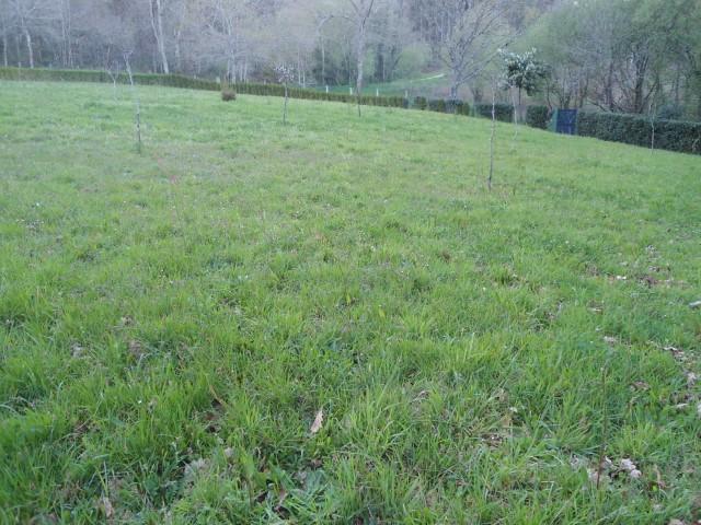 Finca Rústica en venta en Cambre de 2500 m2 photo 0