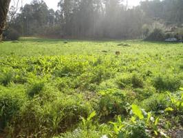 Finca rústica en A Gándara - Cambre photo 0