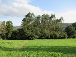 Terreno en venta en Abegondo de 2163 m2 photo 0