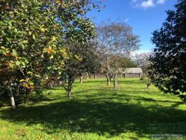 Terreno en venta en Abegondo de 1629 m2 photo 0