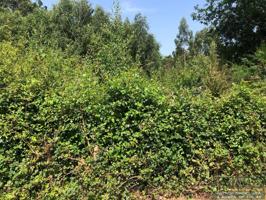 Finca Rústica en venta en Betanzos de 1548 m2 photo 0