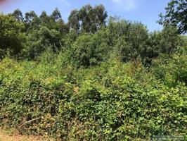 Finca Rústica en venta en Betanzos de 1548 m2 photo 0