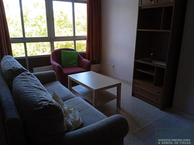 ALQUILER ESTUDIANTES TRES HABITACIONES photo 0