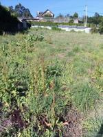 Finca urbana en Almeiras - Culleredo photo 0