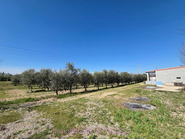 SE VENDE PARCELA CON CASETA CERCA DE LA VÍA VERDE DEL TARAZONICA photo 0