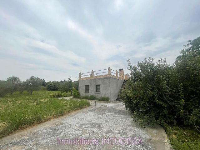 En VENTA HUERTO en término Arquetas de 2.800m2 en Tudela photo 0