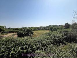 EN VENTA HUERTO DE 1.257M2 EN ``LA MEJANA´´ EN TUDELA photo 0