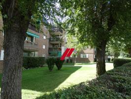 PISO JAROSA i photo 0