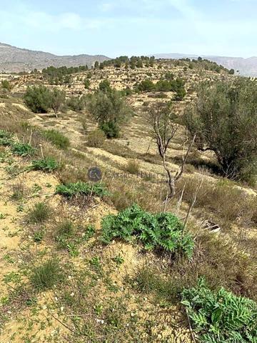 CASA A REFORMAR MUY CERCA DEL PLANTANO DE RELLEU photo 0