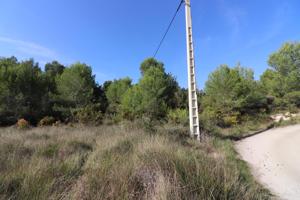 Terreno en venta en Alborche de 7797 m2 photo 0