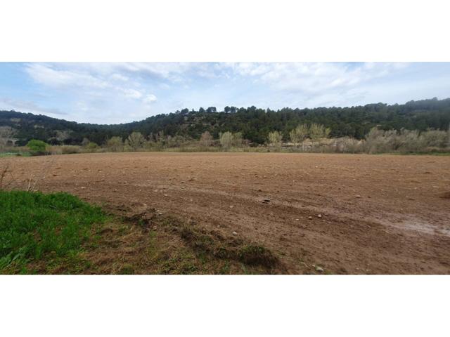 Venta de finca rústica en Castellgalí photo 0