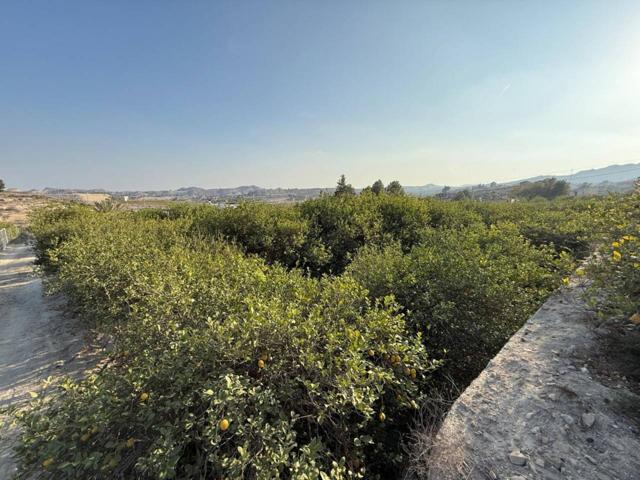 SE VENDE FINCA AGRARIA EN LA PAIRA 'MALADRO' photo 0