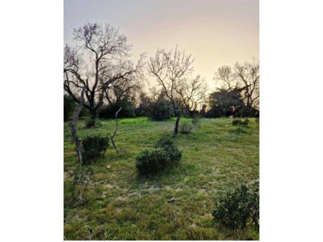 Terreno en venta en Pago del Humo-Polígono de Pelagatos photo 0