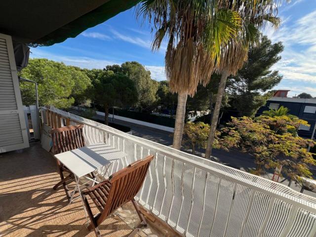 Piso muy soleado a escasos metros del mar. photo 0