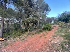 !TERRENO URBANIZABLE DE 1006m2 EN CASTELLAR DEL VALLÉS!! photo 0