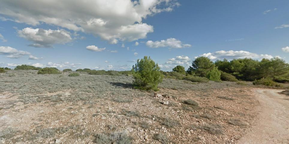 TERRENO CON PROYECTO Y LICENCIA PARA CONSTRUIR VIVIENDA CON PISCINA (LA MOLA) FORMENTERA photo 0