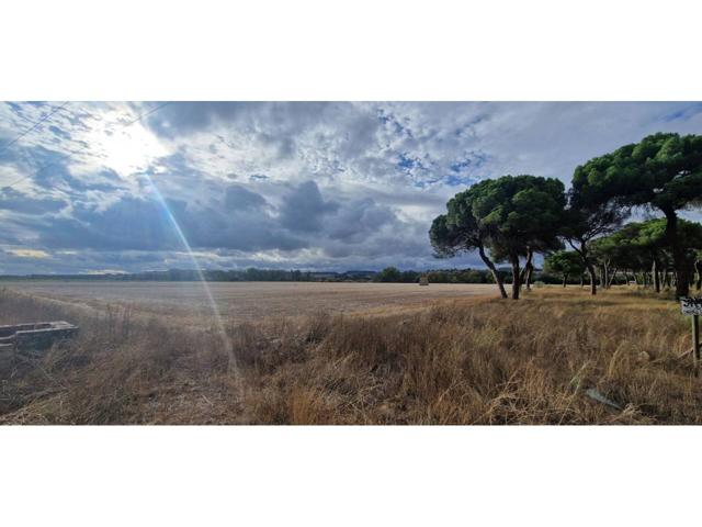Terreno en venta en Simancas photo 0