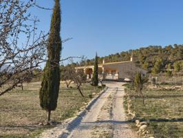 Casa De Campo En venta en Cañada Roja, Monóvar-Monòver photo 0