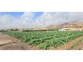 Venta de terreno en Lorca photo 0