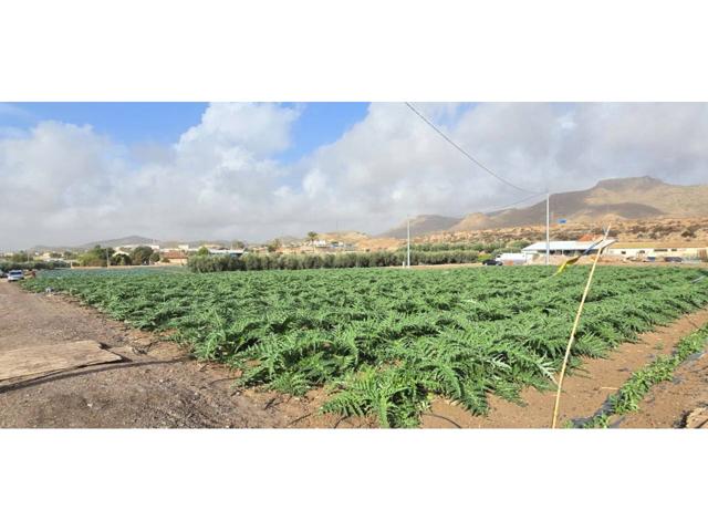 Venta de terreno en Lorca photo 0