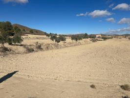 finca rustica secano en lorca photo 0