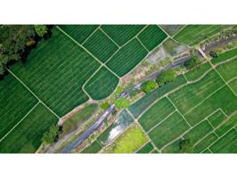 Finca rustica en venta en Pelayos photo 0