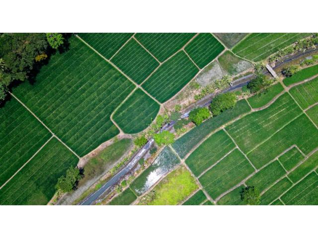 Finca rustica en venta en Pelayos photo 0