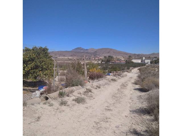 SE VENDE EN FORTUNA-EL SALADAR finca rústica photo 0