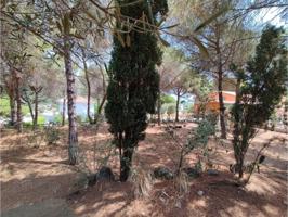 Terreno residencial photo 0