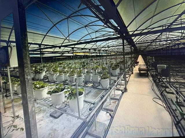 Industrial En venta en Malgrat De Mar photo 0