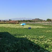 Finca Rústica en venta en Tudela de 2600 m2 photo 0