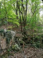 TERRENO rustico, en c-Borrokazelaieta Bidea de OIARTZUN photo 0
