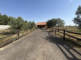 FINCA RUSTICA EN MURCHANTE photo 0