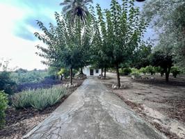 casa de campo de 131 m² en parcela de 2.728 m², situada en la tranquila zona de Ambra, Pego. photo 0