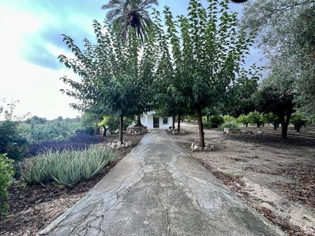 casa de campo de 131 m² en parcela de 2.728 m², situada en la tranquila zona de Ambra, Pego. photo 0