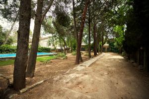 Chalet independiente con carácter y grandes posibilidades en Los Peñascales – Las Rozas de Madrid photo 0