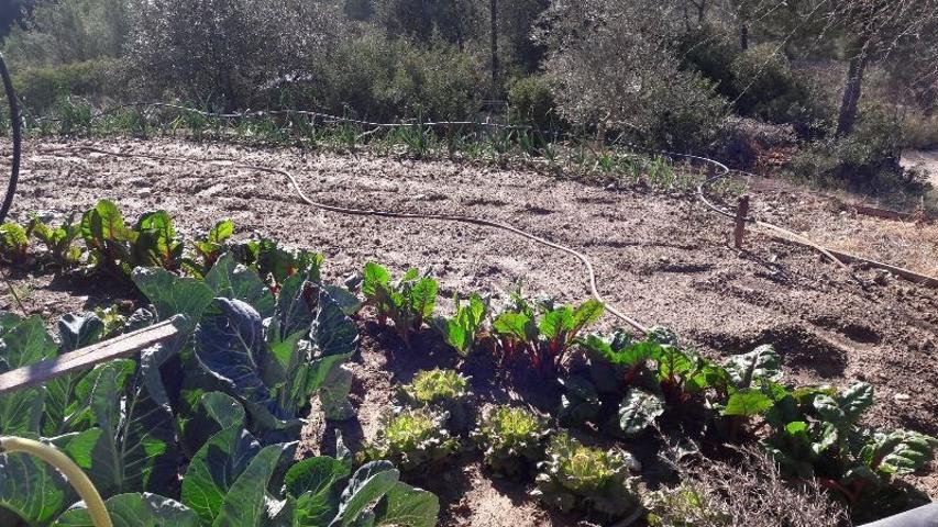 Terreno rustico en venta en Rubí, zona Sant Muç photo 0