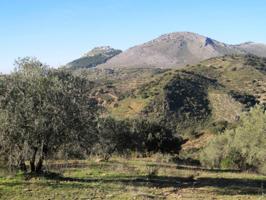 Finca rustica en venta en Archidona photo 0