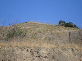 Terreno en venta en Zona Este photo 0