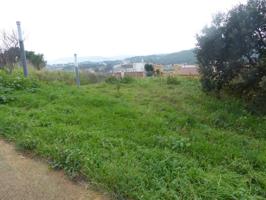 Terreno en venta en Centre-El Pedró photo 0