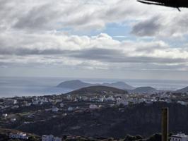 Finca rústica con casa de campo y terreno de 5.000 m², tranquilidad y naturaleza garantizados. photo 0