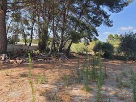 Finca rustica de 1 hectarea en Mont-Roig del Camp photo 0