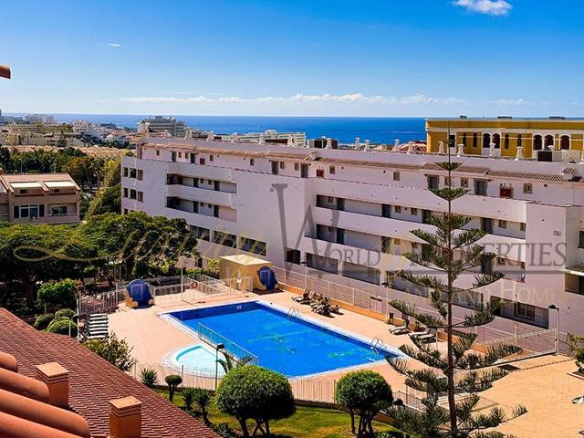 Oasis Dakota - Costa Adeje (C) photo 0