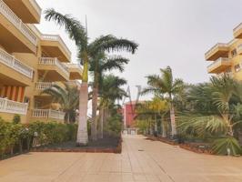 Primavera - Palm Mar photo 0