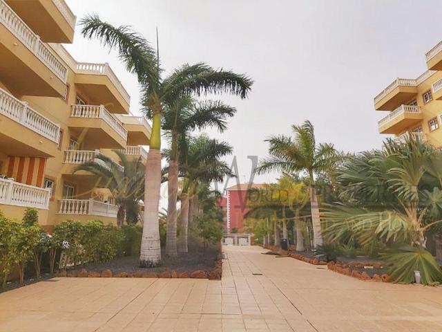 Primavera - Palm Mar photo 0